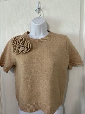 Sweater Soft Short Sleeve Roses Academia Cottagecore Romantic